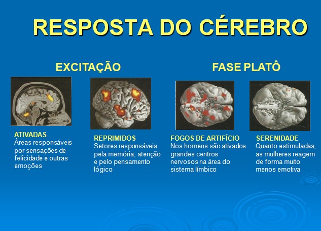 sexo e o cerebro