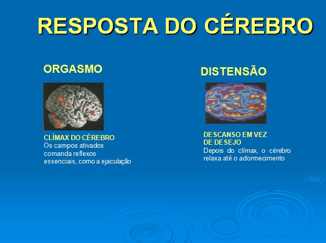 Sexo e o cérebro